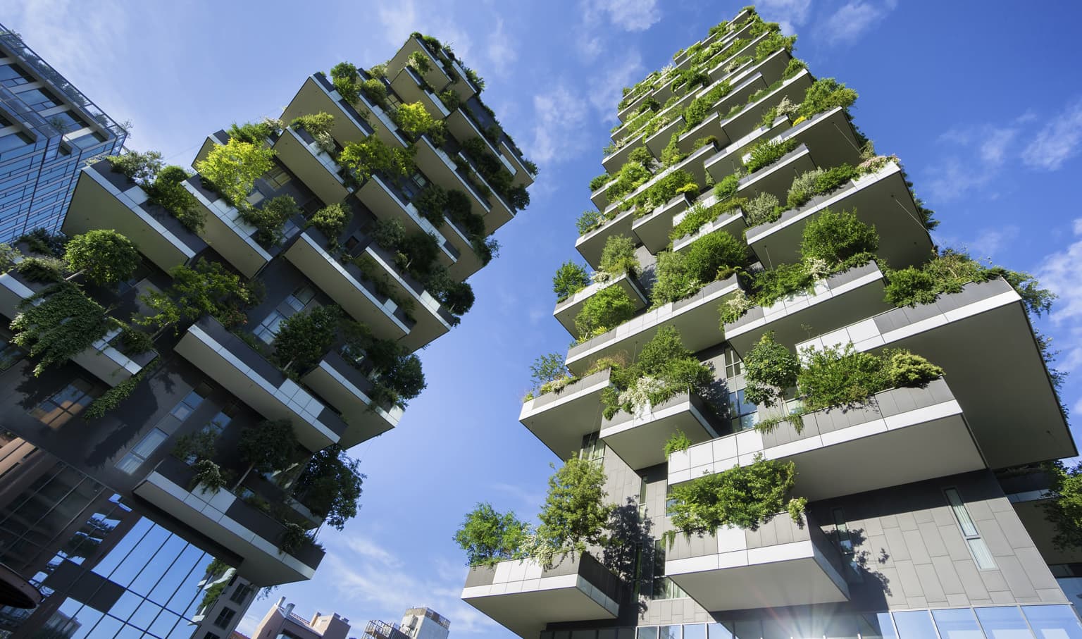 Implementation and Quality Control